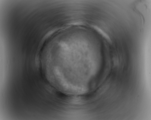 X0000092101266200709262135