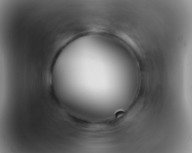 X0000092101269200709262135