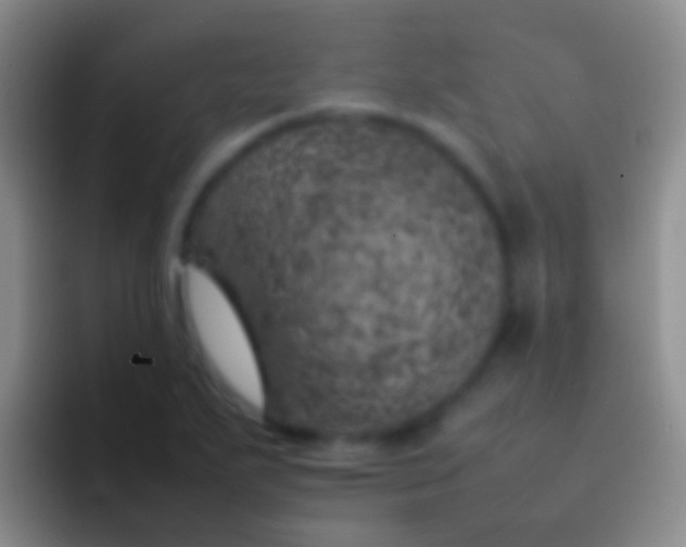 X0000092101271200709262135