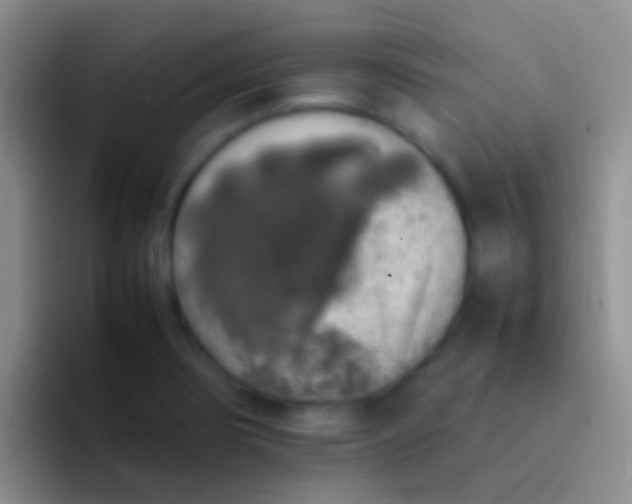 X0000092101274200709262135