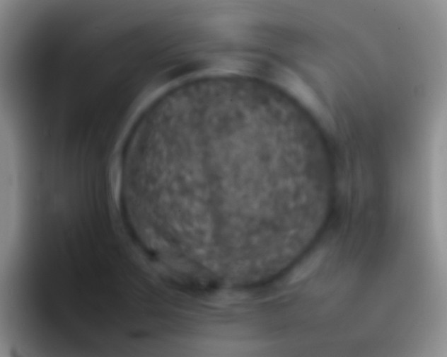 X0000092101275200709262135