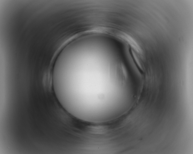 X0000092101276200709262135