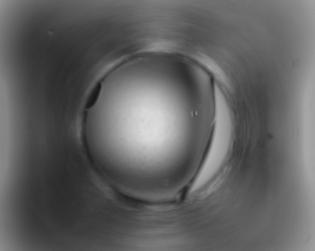 X0000092101277200709262135