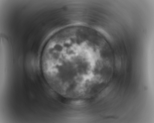 X0000092101278200709262135