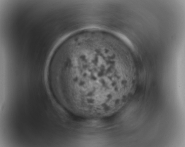 X0000092101279200709262134