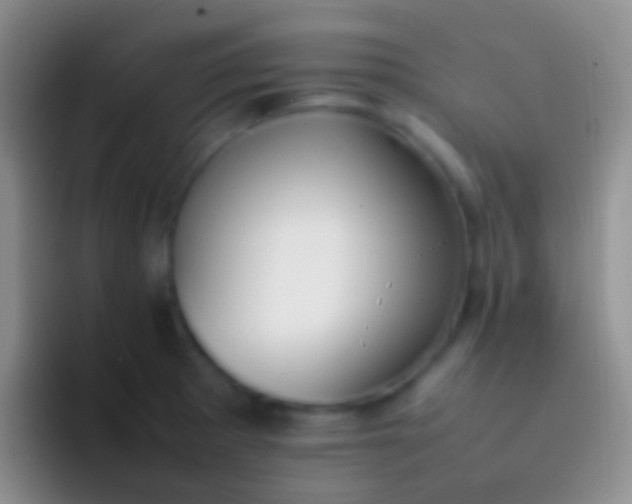 X0000092101281200709262134