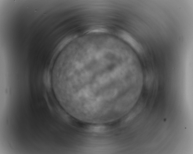 X0000092101282200709262134