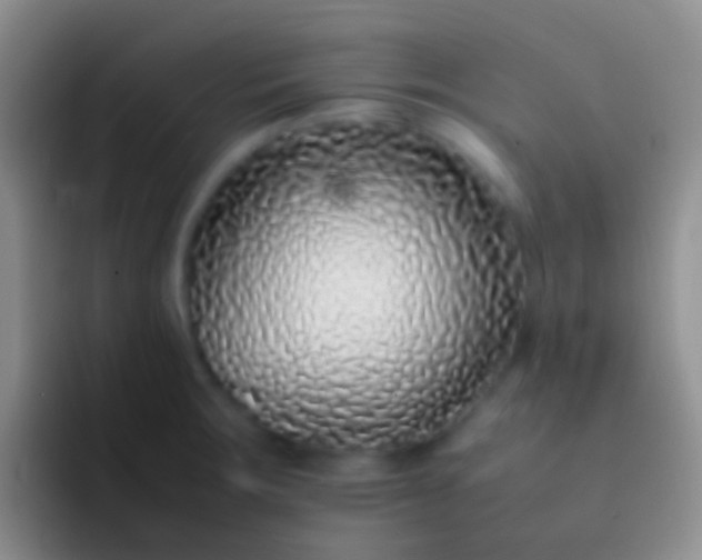 X0000092101283200709262134