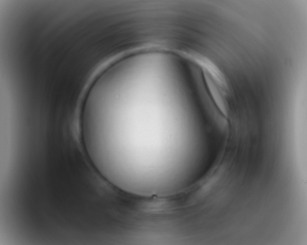 X0000092101288200709262134