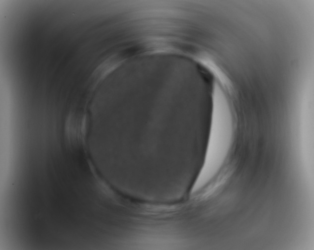 X0000092101289200709262134