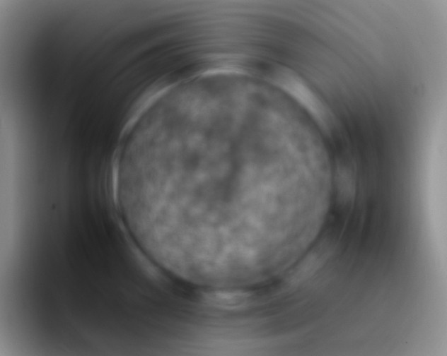 X0000092101290200709262134