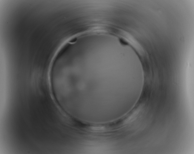 X0000092101291200709262134