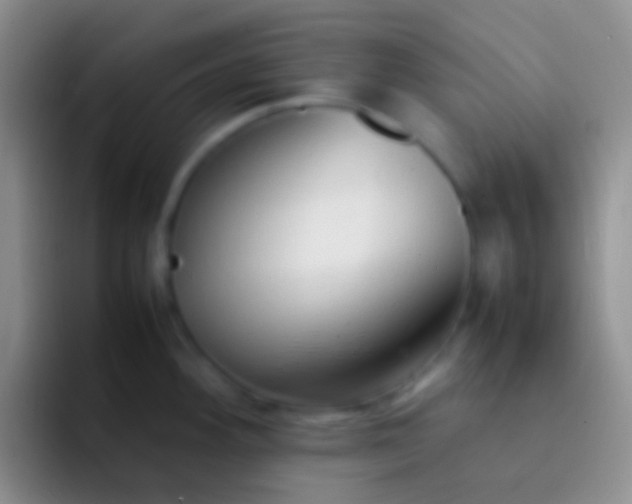 X0000092101292200709262134