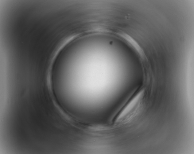 X0000092101293200709262134