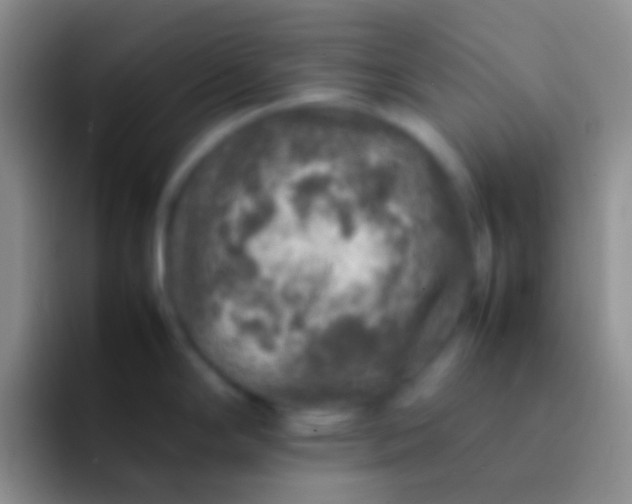 X0000092101294200709262134