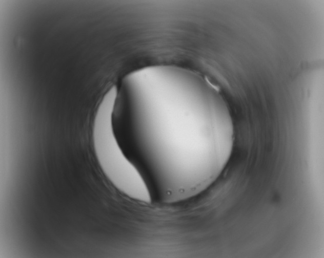 X0000092101298200709262134