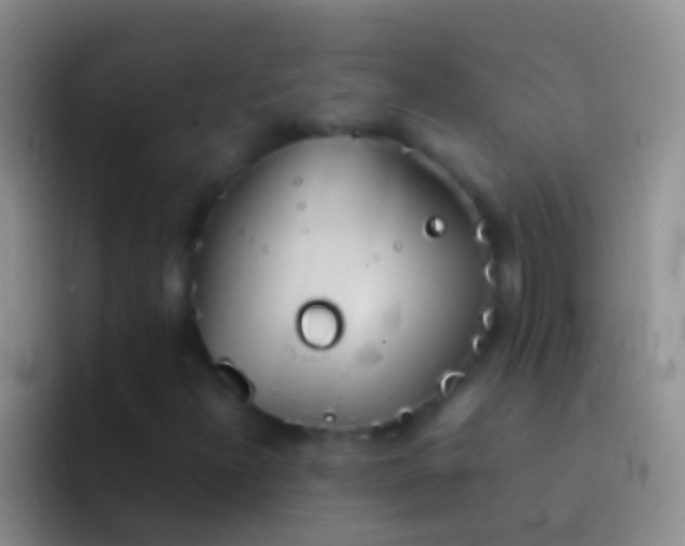 X0000092101300200709262134