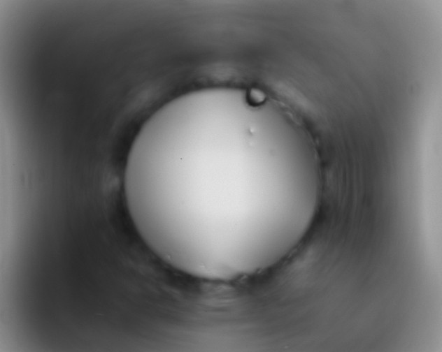 X0000092101302200709262134