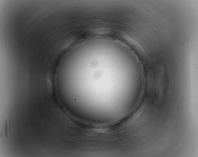 X0000092101305200709262134