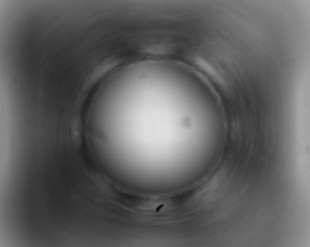 X0000092101307200709262134