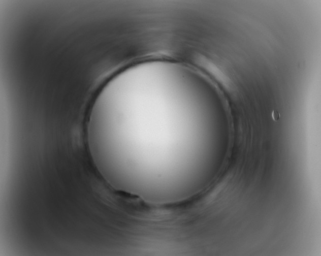 X0000092101308200709262134