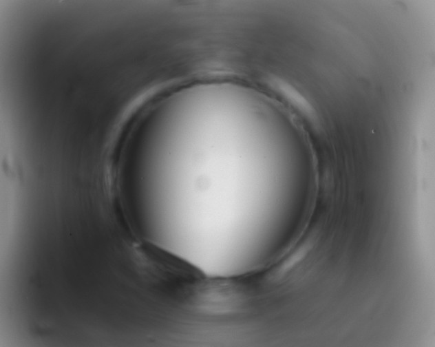 X0000092101310200709262134