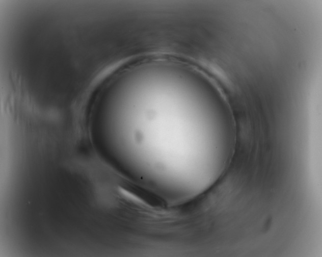 X0000092101311200709262134