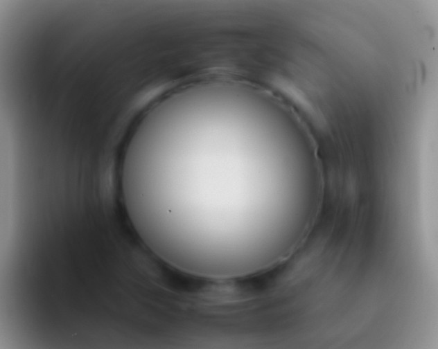 X0000092101315200709262134