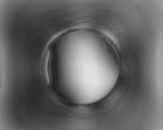 X0000092101316200709262134