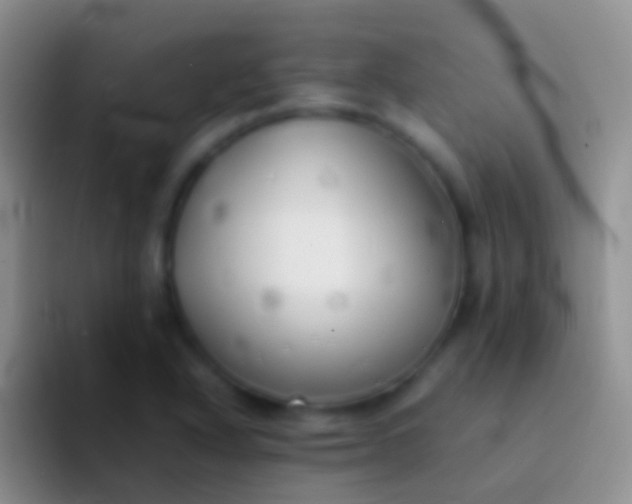 X0000092101318200709262134