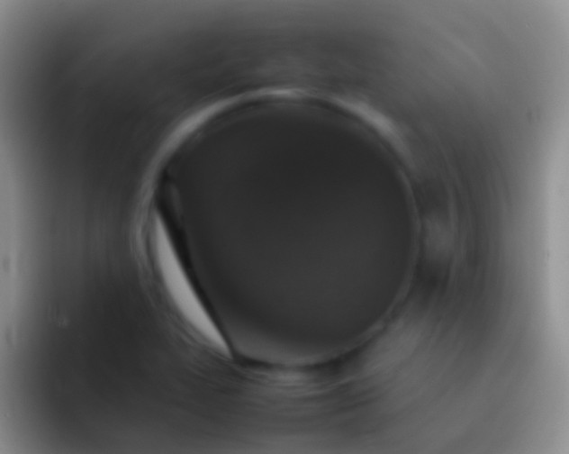 X0000092101319200709262134