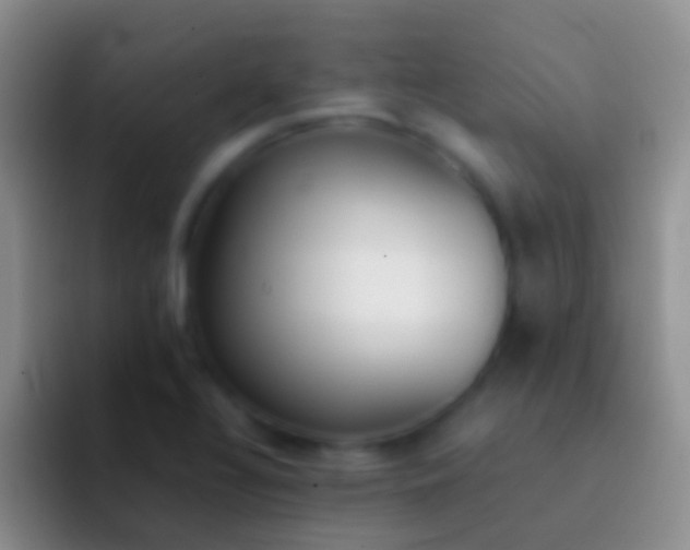 X0000092101320200709262134