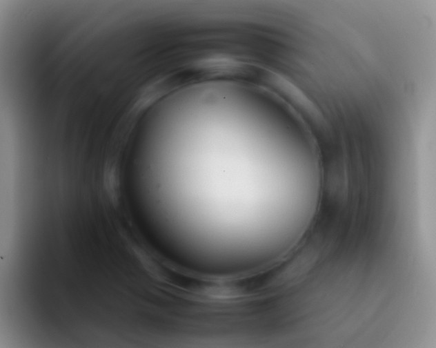 X0000092101321200709262134