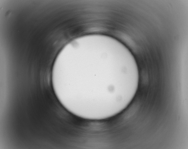 X0000092101322200709262134