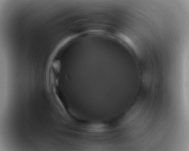 X0000092101323200709262134