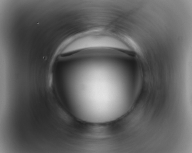 X0000092101324200709262134