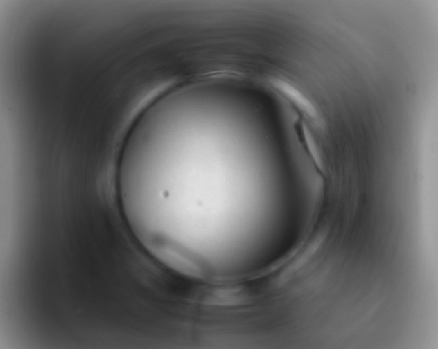 X0000092101325200709262134