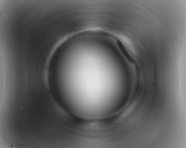 X0000092101326200709262134