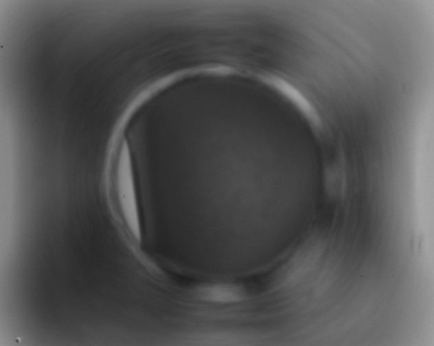 X0000092101327200709262134