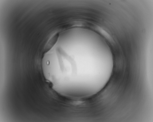 X0000092101329200709262134