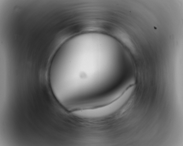 X0000092101330200709262134