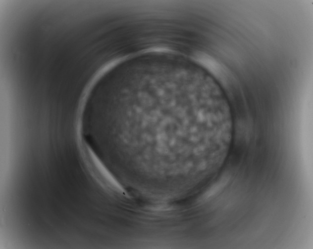 X0000092101331200709262134