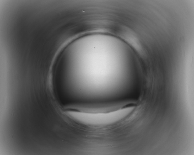 X0000092101332200709262134