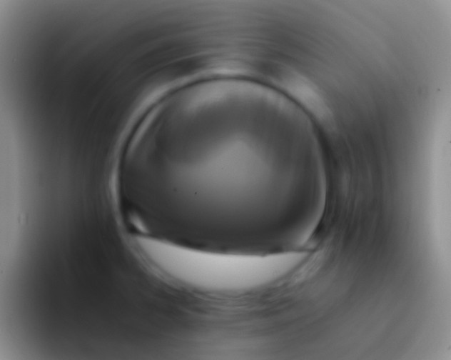 X0000092101334200709262134