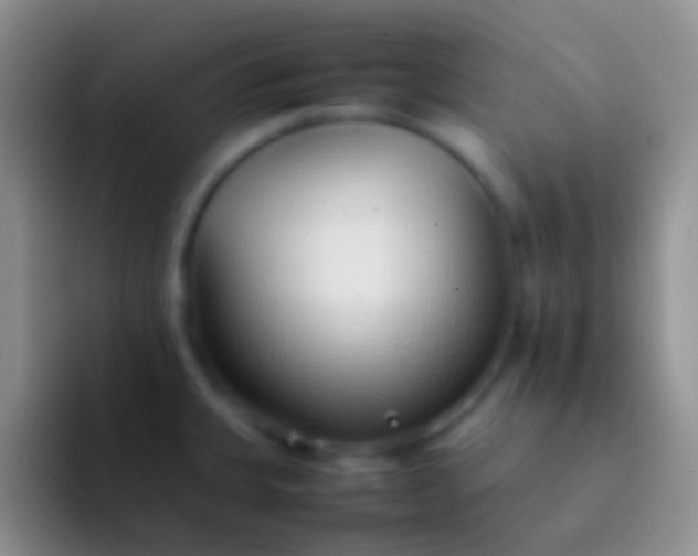 X0000092101335200709262134