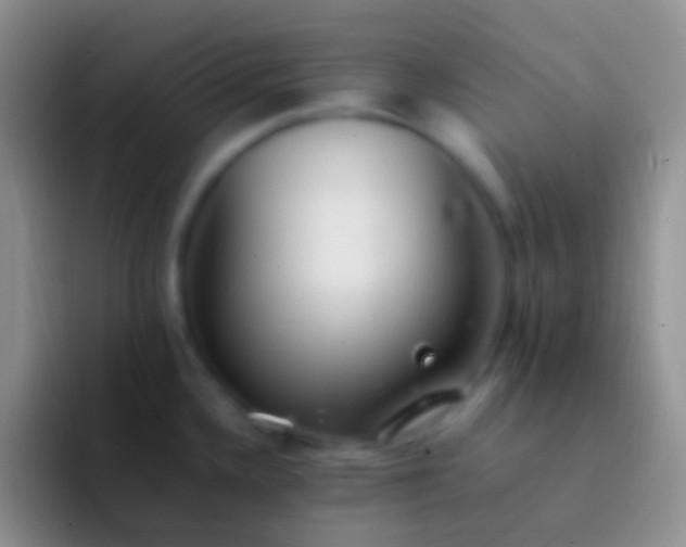 X0000092101336200709262134