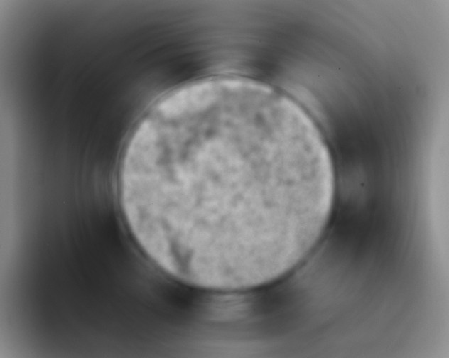 X0000092101338200709262134