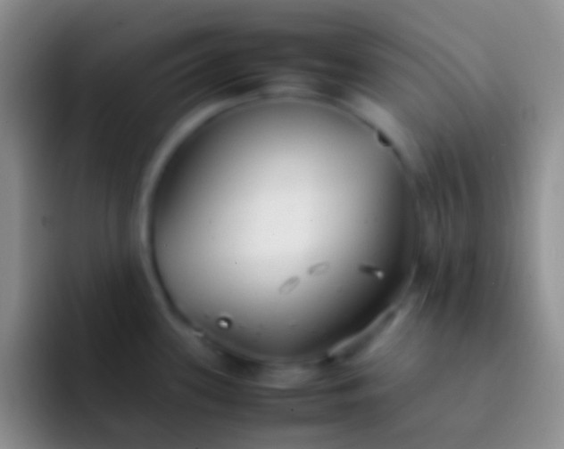 X0000092101339200709262134