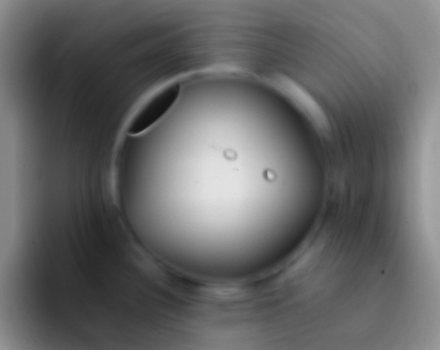 X0000092101340200709262134