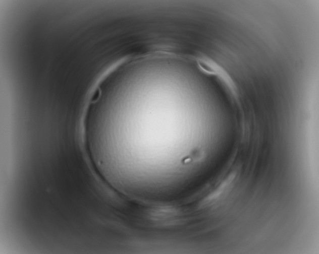 X0000092101341200709262134